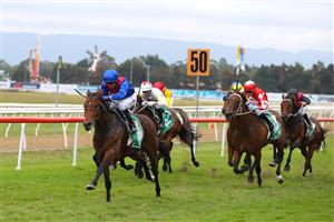 HAWKESBURY, AUSTRALIA - APRIL 22: Kerrin Mcevoy riding Palmetto wins Race 10 Clarendon Tavern during Hawkesbury Cup Day Sydney Racing at Hawkesbury Racecourse on April 22, 2023 in Hawkesbury, Australia. (Photo by Jeremy Ng/Getty Images)