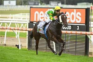 MORNINGTON, AUSTRALIA - APRIL 22: Linda Meech riding Outback Action winning Race 5, the No Fuss Event Hire Handicap, during Melbourne Racing at Mornington Racecourse on April 22, 2023 in Mornington, Australia. (Photo by Vince Caligiuri/Getty Images)