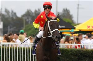 HAWKESBURY, AUSTRALIA - APRIL 22: Nash Rawiller riding Princess Grace wins Race 8 Pioneer Services Hawkesbury Crown during Hawkesbury Cup Day Sydney Racing at Hawkesbury Racecourse on April 22, 2023 in Hawkesbury, Australia. (Photo by Jeremy Ng/Getty Images)