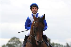 HAWKESBURY, AUSTRALIA - APRIL 22: Nash Rawiller riding Hawaii Five Oh wins Race 7 Blacktown Workers Hawkesbury Guineas during Hawkesbury Cup Day Sydney Racing at Hawkesbury Racecourse on April 22, 2023 in Hawkesbury, Australia. (Photo by Jeremy Ng/Getty Images)