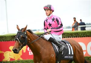 MORNINGTON, AUSTRALIA - APRIL 22: Fred Kersley riding Starring Role after winning in Race 2, the Asset Painting Services Handicap, during Melbourne Racing at Mornington Racecourse on April 22, 2023 in Mornington, Australia. (Photo by Vince Caligiuri/Getty Images)