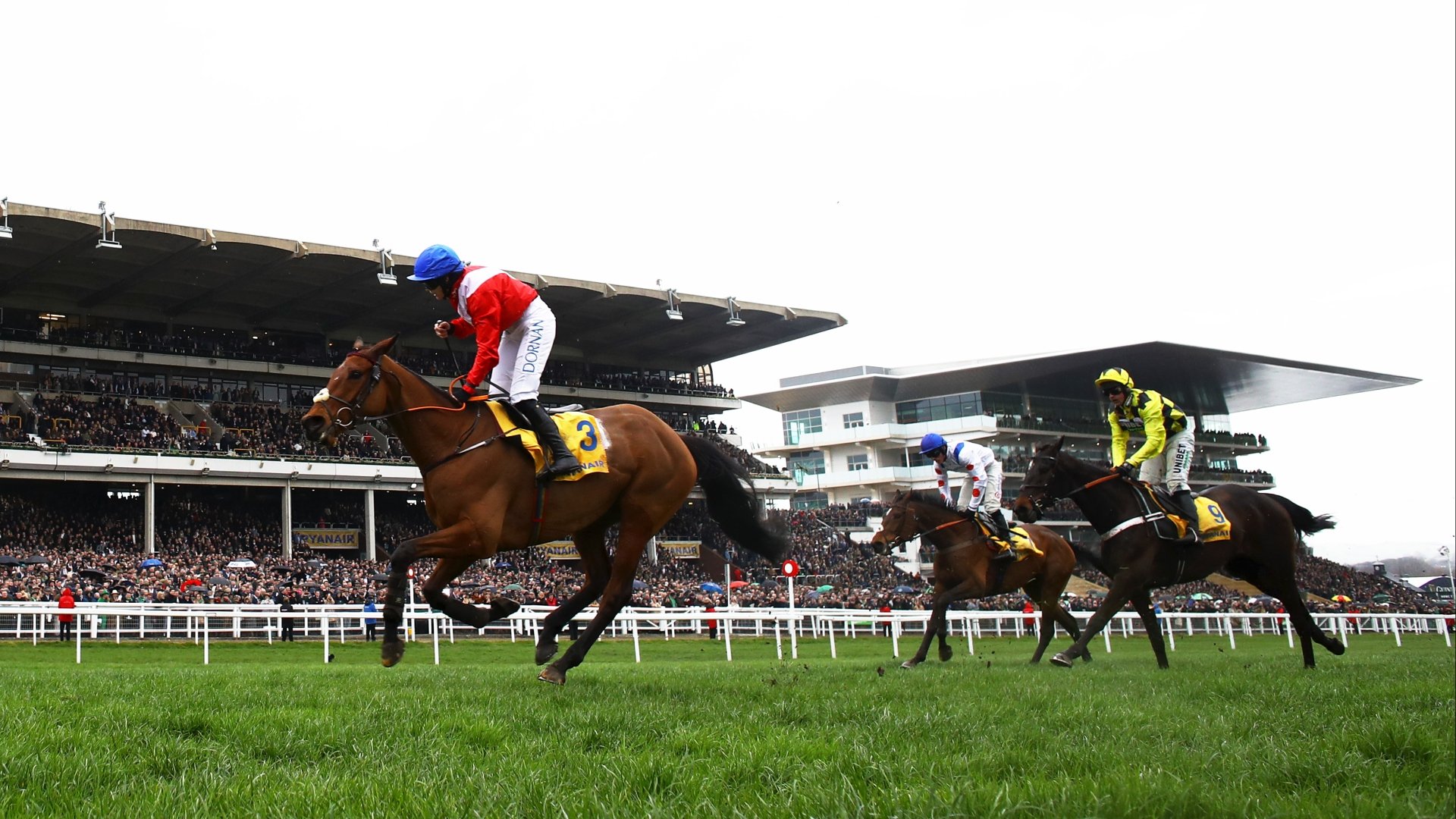 Punchestown Gold Cup Tips and Odds
