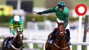 Punchestown Festival 2023 Tips - Through the card tips on day three