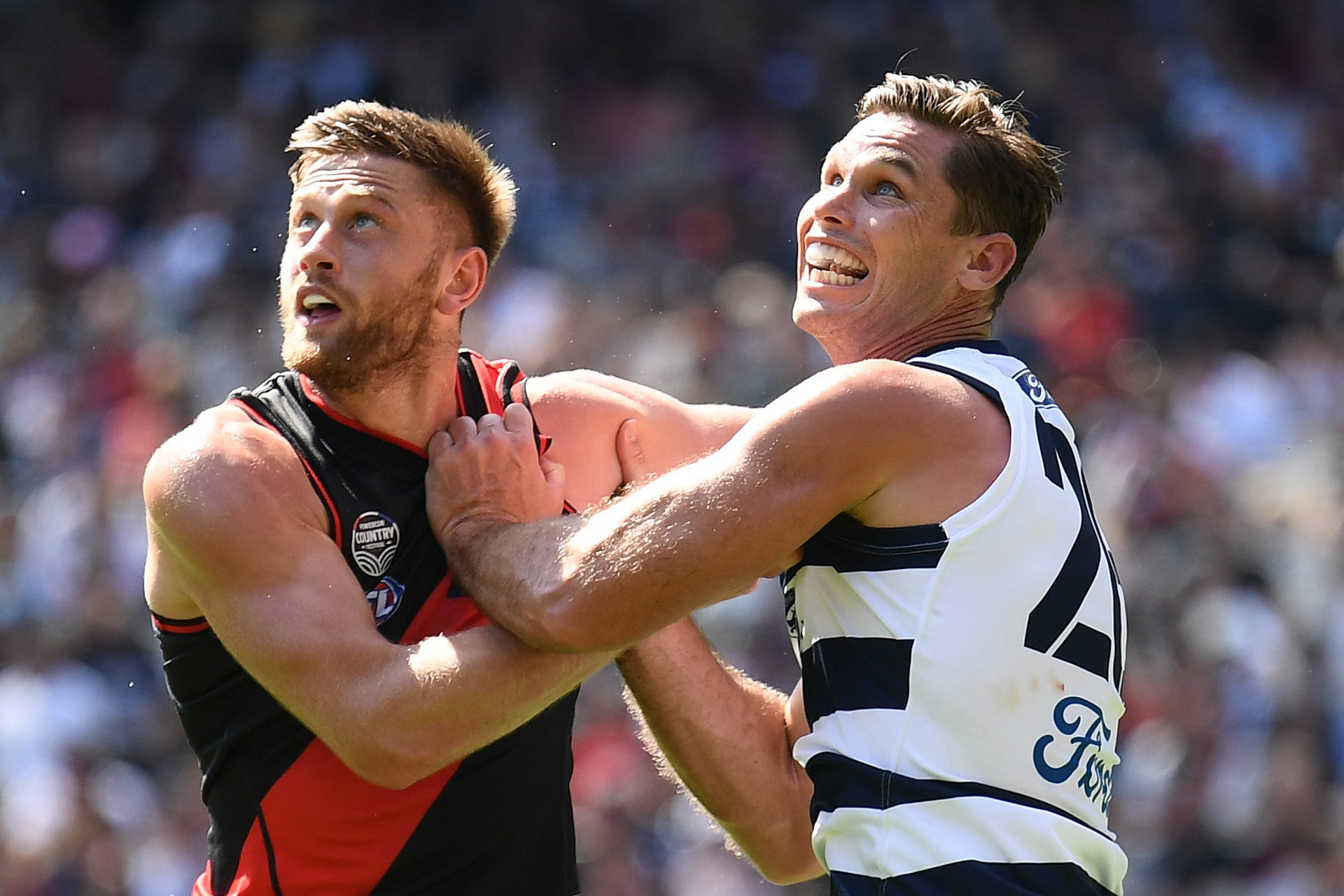 Essendon Bombers vs Geelong Cats Tips & Predictions