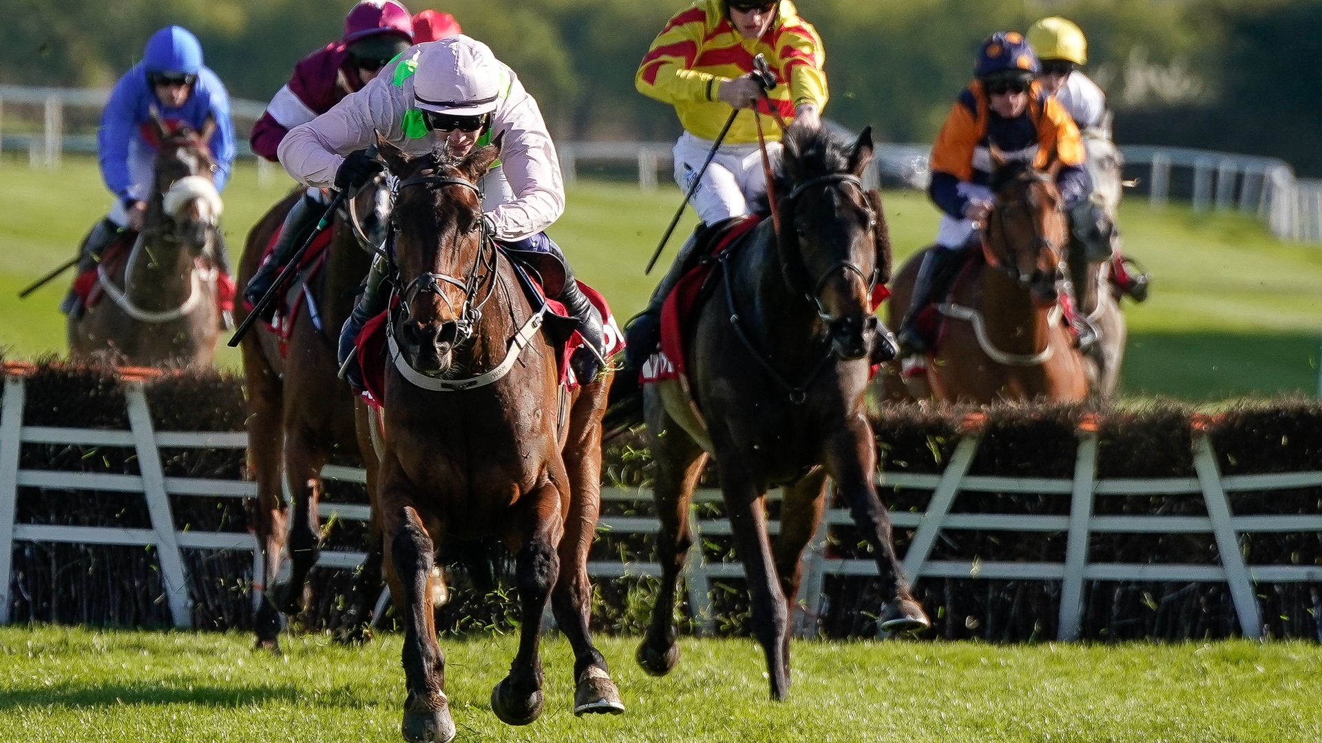 Punchestown Champion Hurdle Live Stream Watch the Punchestown race live