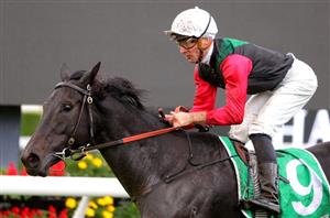 Get $2.50 for Arts to finish Top 4 in the Australasian Oaks