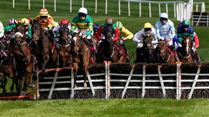 2023 Mares' Champion Hurdle Tips - Mullins' mare the one to beat at Punchestown