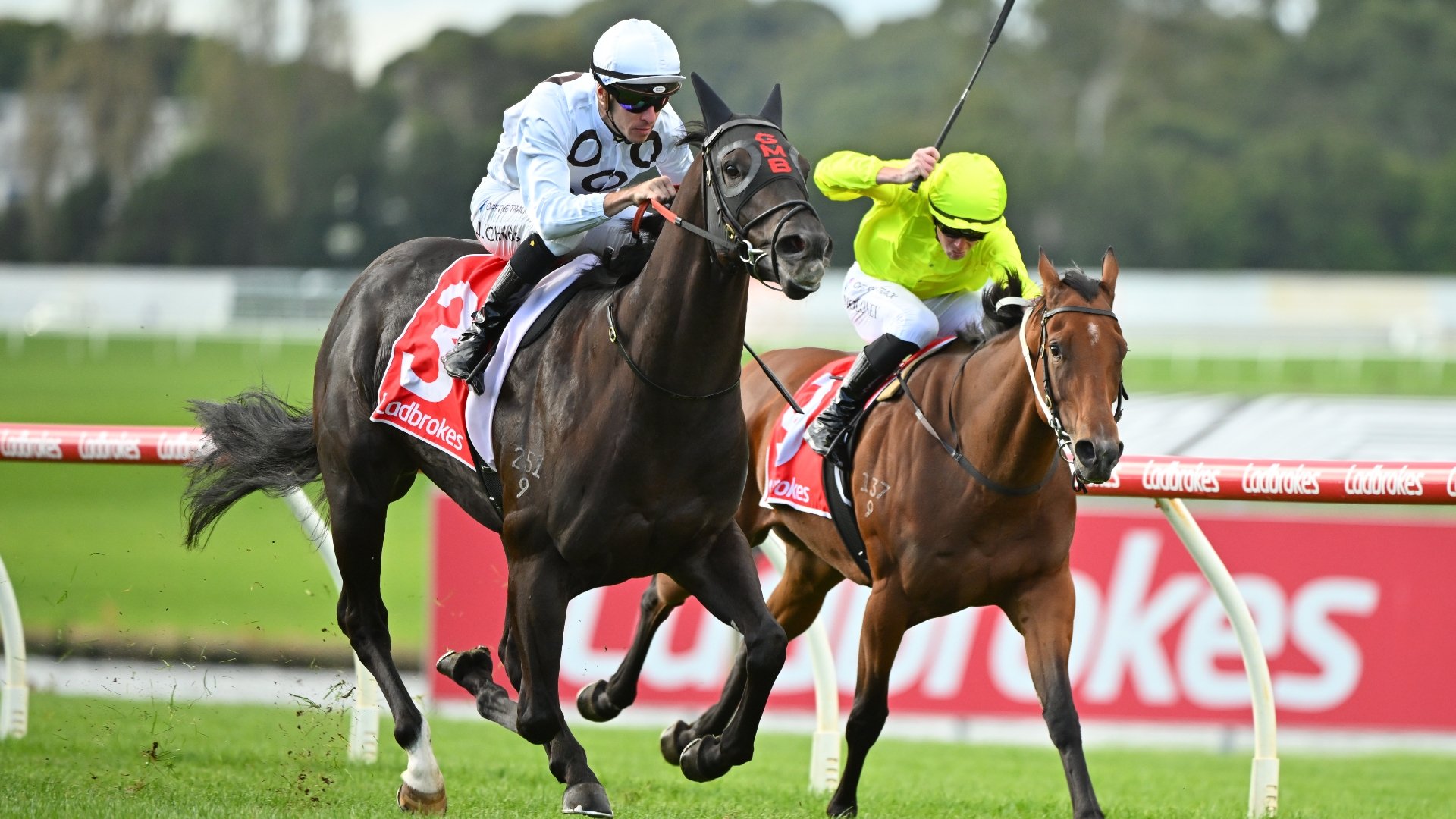 Big Bets Results - Bets.com.au - Big Bets winners, losers and results