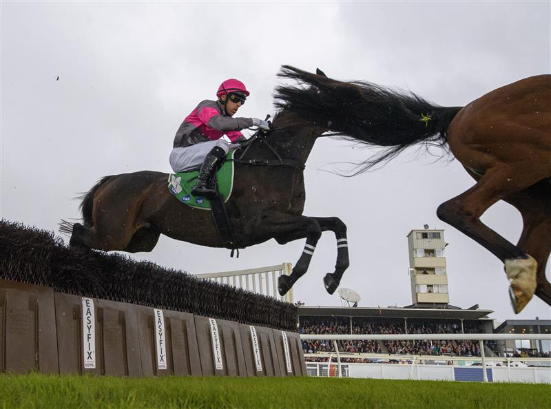 WARRNAMBOOL, AUSTRALIA - MAY 02: Aaron Kuru riding Britannicus in the first lap before winning Race 6, the 3yb Fm Brierly Steeplechase, during Brierly Steeplechase day at Warrnambool Racing Club on May 02, 2023 in Warrnambool, Australia. (Photo by Vince Caligiuri/Getty Images)
