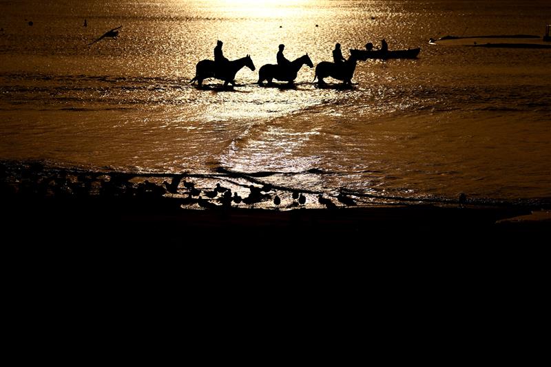 WARRNAMBOOL, AUSTRALIA - MAY 02: Horses train at Lady Bay ahead of the Warrnambool May Racing Carnival on May 02, 2023 in Warrnambool, Australia. (Photo by Morgan Hancock/Getty Images)