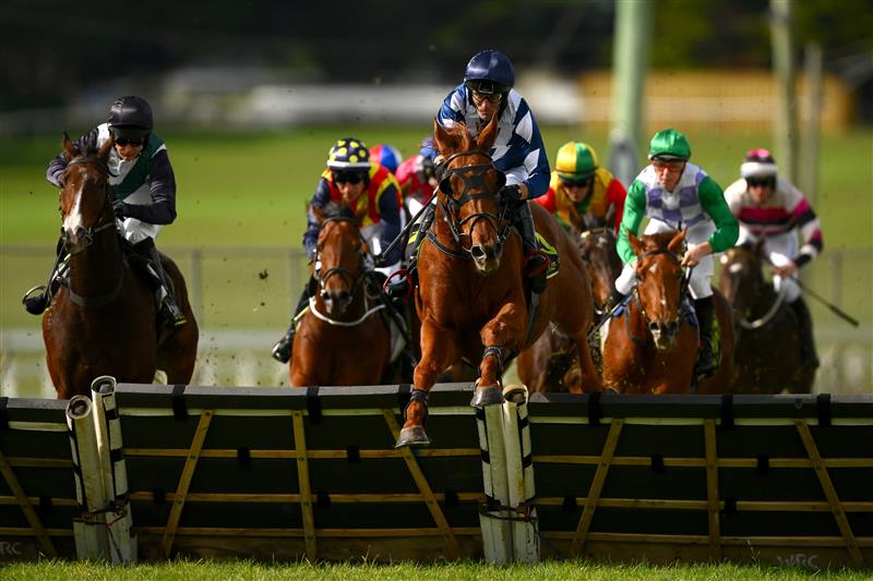 WARRNAMBOOL, AUSTRALIA - MAY 02: Impulsar ridden by Steven Pateman jumps over a a hurdle wins the Choices Flooring Warrnambool Maiden Hurdle during Brierly Steeplechase day at Warrnambool Racing Club on May 02, 2023 in Warrnambool, Australia. (Photo by Morgan Hancock/Getty Images)