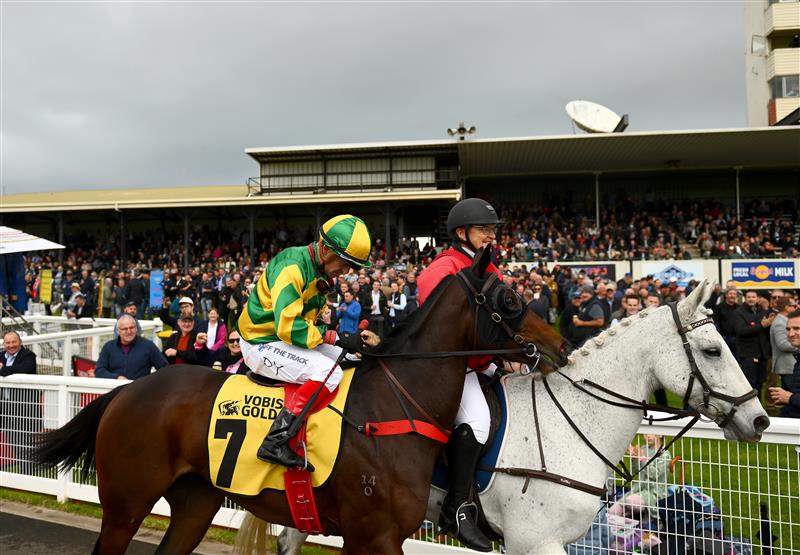 WARRNAMBOOL, AUSTRALIA - MAY 02: Rose Of Shalaa ridden by Dean Yendall returns to scale after winning the Callaghan Motors VOBIS Gold Strike in front of crowds during Brierly Steeplechase day at Warrnambool Racing Club on May 02, 2023 in Warrnambool, Australia. (Photo by Morgan Hancock/Getty Images)