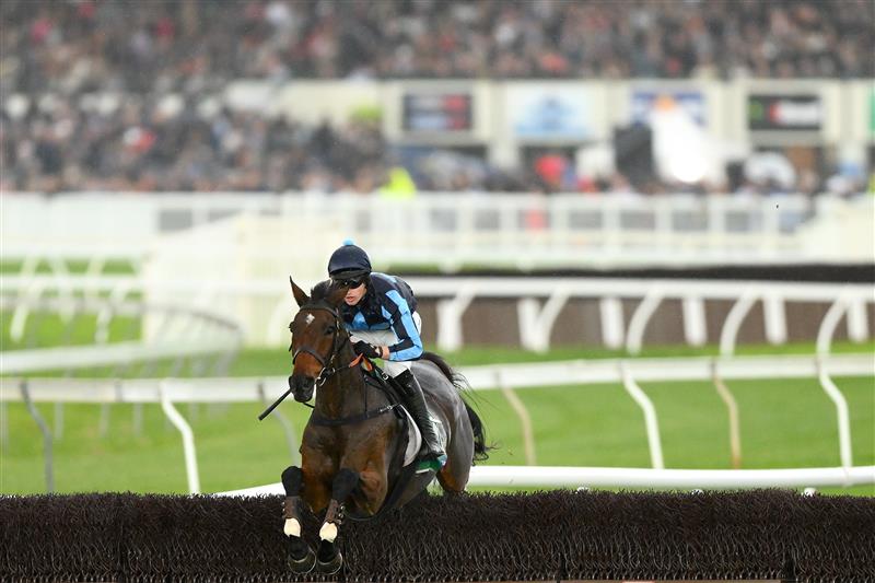 WARRNAMBOOL, AUSTRALIA - MAY 02: Lee Horner rides Flying Agent in the 3YB FM Scotty Stewart Brierly Steeplechase during Brierly Steeplechase day at Warrnambool Racing Club on May 02, 2023 in Warrnambool, Australia. (Photo by Morgan Hancock/Getty Images)