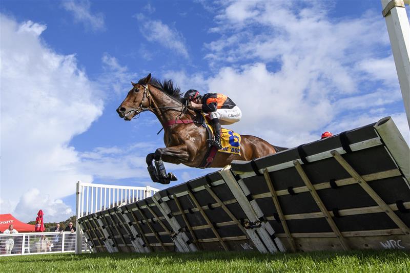 WARRNAMBOOL, AUSTRALIA - MAY 02: Campbell Rawiller riding Teofilo Star winning Race 2, the George Taylor Memorial Maiden Hurdle, during Brierly Steeplechase day at Warrnambool Racing Club on May 02, 2023 in Warrnambool, Australia. (Photo by Vince Caligiuri/Getty Images)