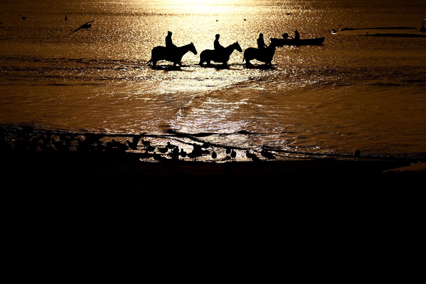 WARRNAMBOOL, AUSTRALIA - MAY 02: Horses train at Lady Bay ahead of the Warrnambool May Racing Carnival on May 02, 2023 in Warrnambool, Australia. (Photo by Morgan Hancock/Getty Images)