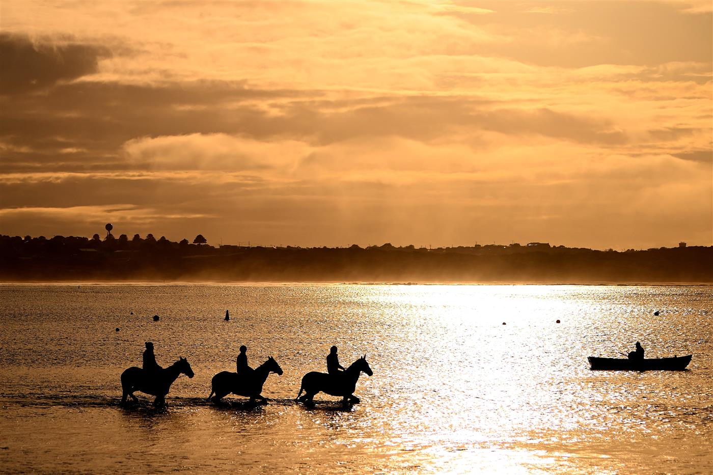 WARRNAMBOOL, AUSTRALIA - MAY 02: Horses train at Lady Bay ahead of the Warrnambool May Racing Carnival on May 02, 2023 in Warrnambool, Australia. (Photo by Morgan Hancock/Getty Images)