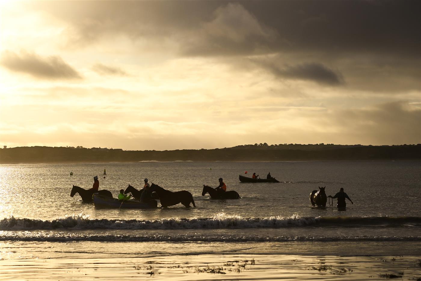 WARRNAMBOOL, AUSTRALIA - MAY 02: General view of trainer Tom Dabernig horses during a beachwork session at Lady Bay beach ahead of Brierly Steeplechase day at Warrnambool Racing Club on May 02, 2023 in Warrnambool, Australia. (Photo by Vince Caligiuri/Getty Images)