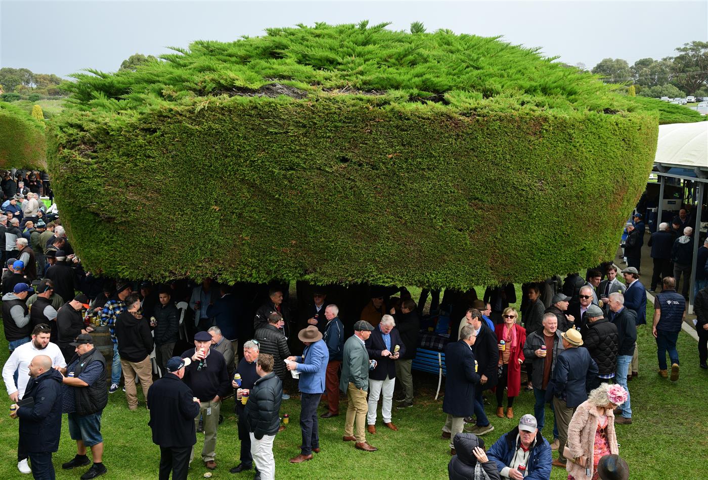 WARRNAMBOOL, AUSTRALIA - MAY 02: Racegoers shelter from the rain under the famous trees during Brierly Steeplechase day at Warrnambool Racing Club on May 02, 2023 in Warrnambool, Australia. (Photo by Vince Caligiuri/Getty Images)