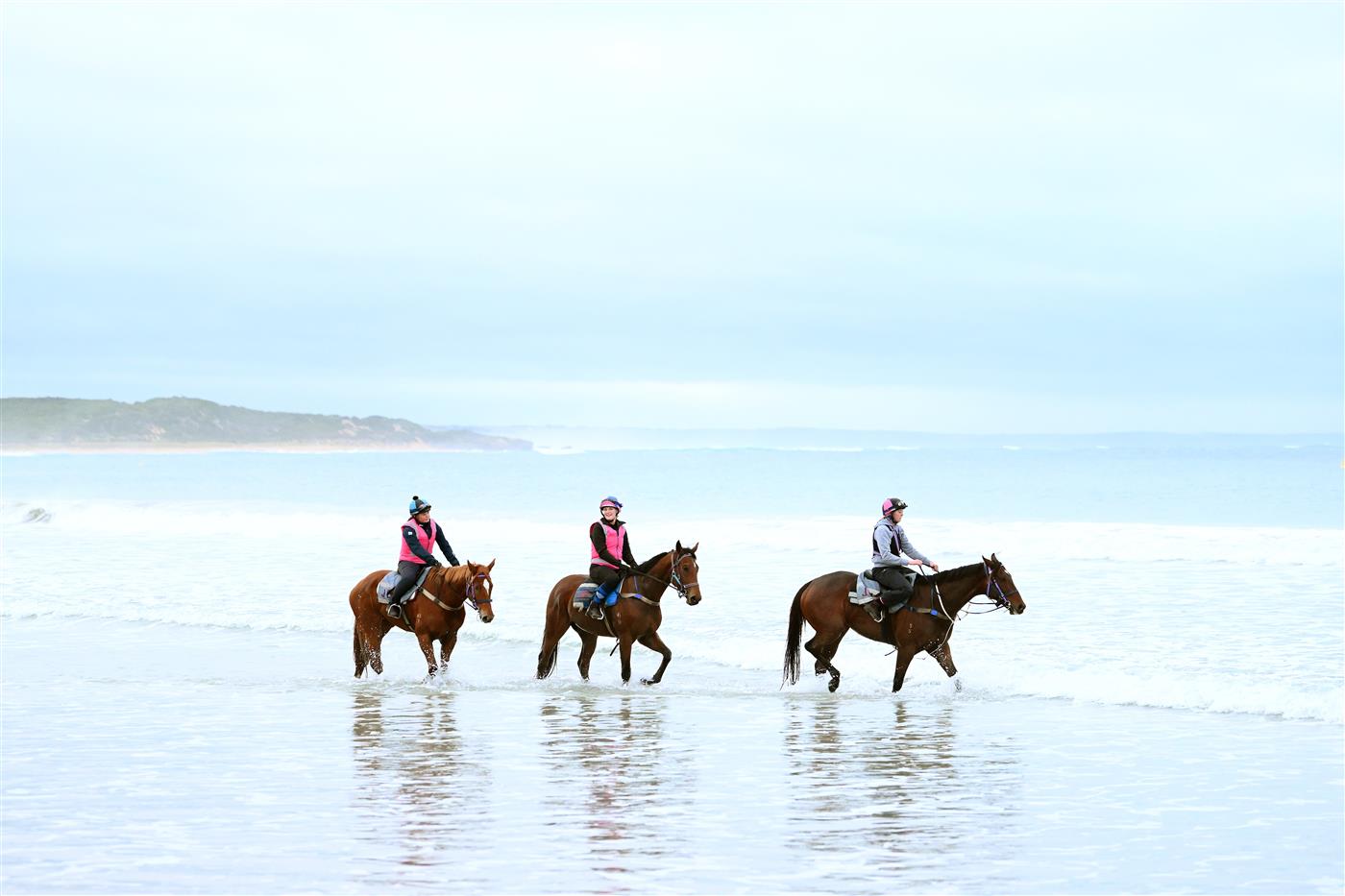 WARRNAMBOOL, AUSTRALIA - MAY 02: Horses train at Lady Bay ahead of the Warrnambool May Racing Carnival on May 02, 2023 in Warrnambool, Australia. (Photo by Morgan Hancock/Getty Images)