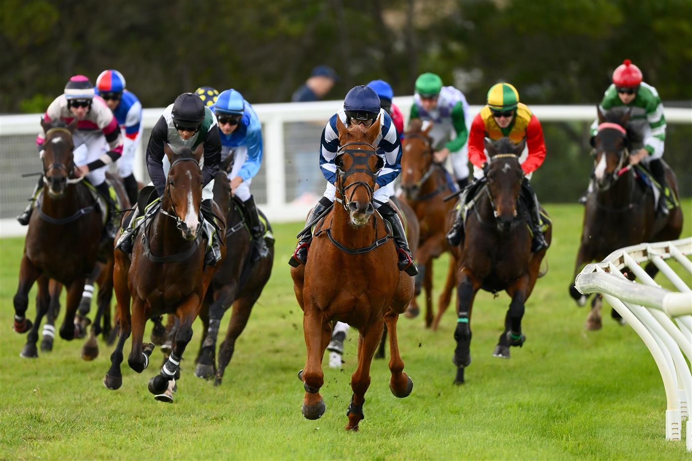 WARRNAMBOOL, AUSTRALIA - MAY 02: Impulsar ridden by Steven Pateman wins the Choices Flooring Warrnambool Maiden Hurdle during Brierly Steeplechase day at Warrnambool Racing Club on May 02, 2023 in Warrnambool, Australia. (Photo by Morgan Hancock/Getty Images)