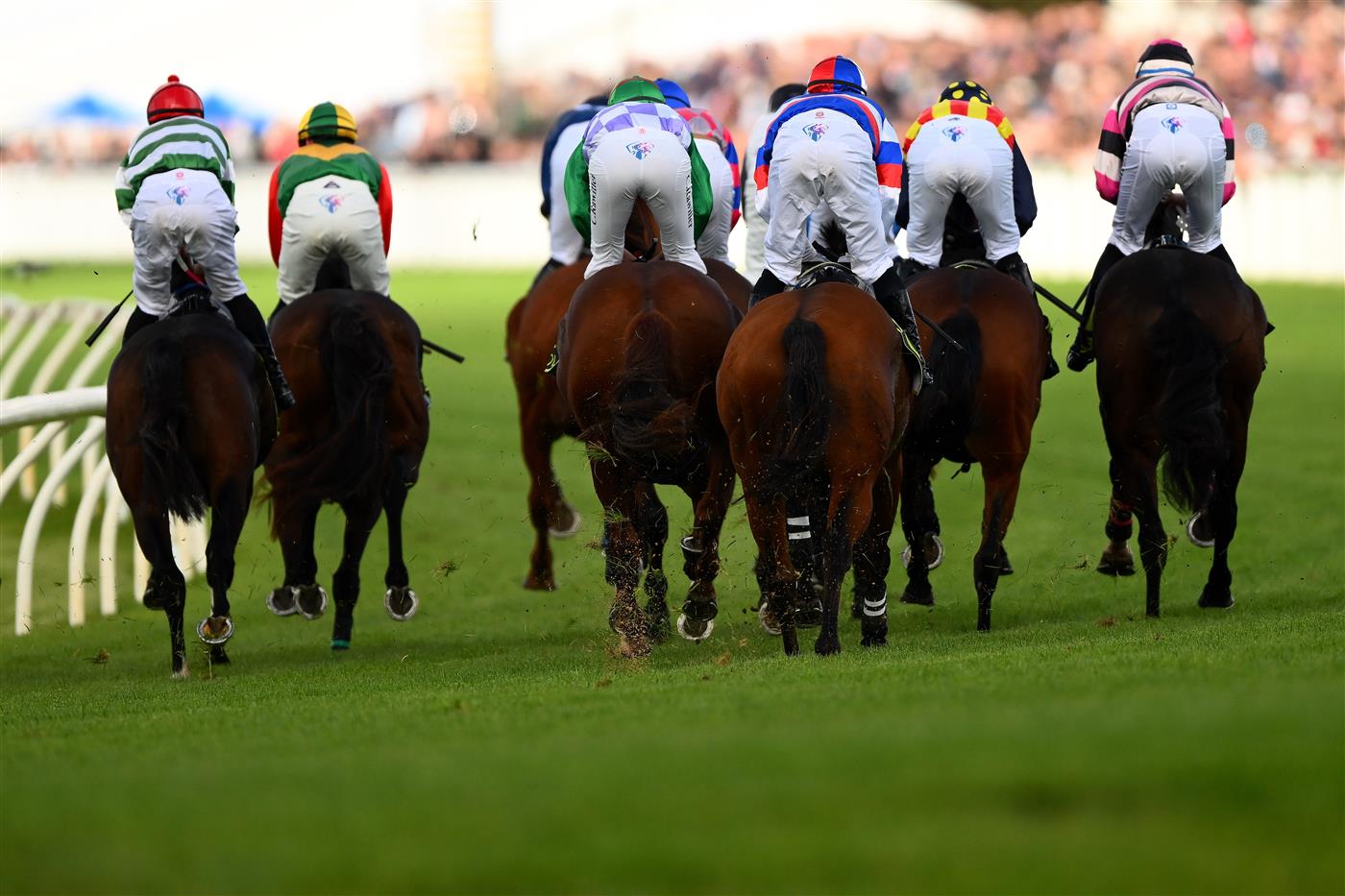 WARRNAMBOOL, AUSTRALIA - MAY 02: A general view of the rear of horses and jockeys as Impulsar ridden by Steven Pateman wins the Choices Flooring Warrnambool Maiden Hurdle during Brierly Steeplechase day at Warrnambool Racing Club on May 02, 2023 in Warrnambool, Australia. (Photo by Morgan Hancock/Getty Images)