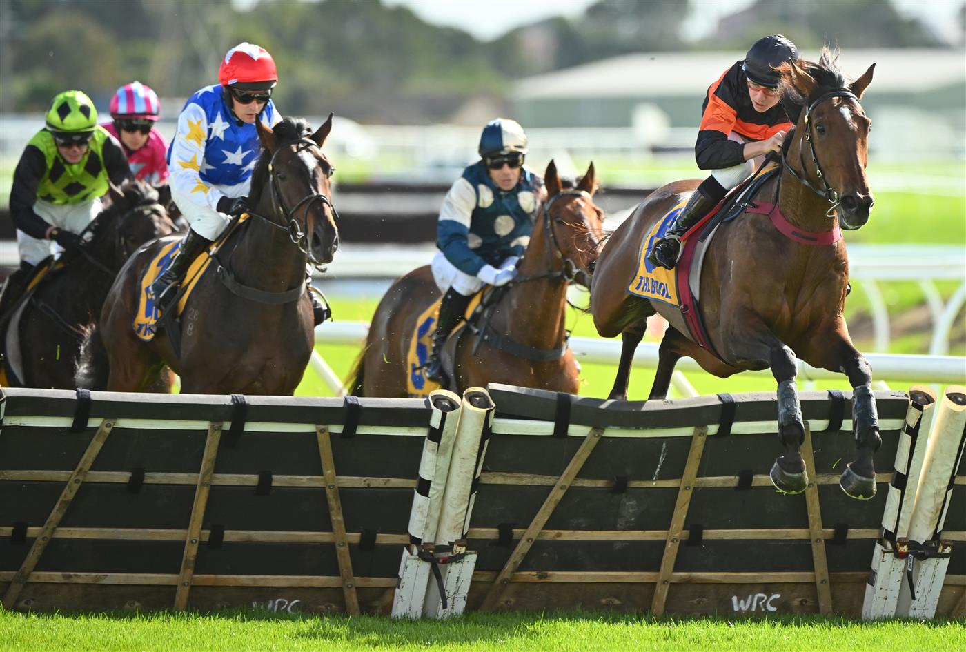 WARRNAMBOOL, AUSTRALIA - MAY 02: Campbell Rawiller riding Teofilo Star jumps hurdle during win in Race 2, the George Taylor Memorial Maiden Hurdle, during Brierly Steeplechase day at Warrnambool Racing Club on May 02, 2023 in Warrnambool, Australia. (Photo by Vince Caligiuri/Getty Images)