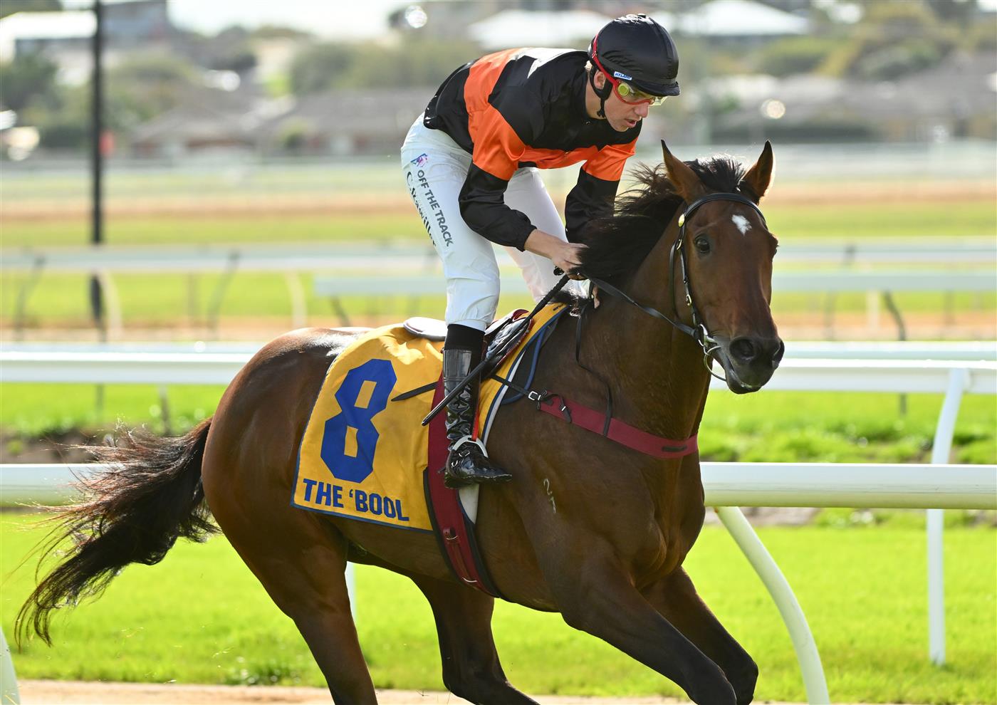 WARRNAMBOOL, AUSTRALIA - MAY 02: Campbell Rawiller riding Teofilo Star winning in Race 2, the George Taylor Memorial Maiden Hurdle, during Brierly Steeplechase day at Warrnambool Racing Club on May 02, 2023 in Warrnambool, Australia. (Photo by Vince Caligiuri/Getty Images)