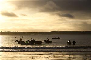 WARRNAMBOOL, AUSTRALIA - MAY 02: General view of trainer Tom Dabernig horses during a beachwork session at Lady Bay beach ahead of Brierly Steeplechase day at Warrnambool Racing Club on May 02, 2023 in Warrnambool, Australia. (Photo by Vince Caligiuri/Getty Images)