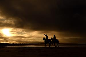 WARRNAMBOOL, AUSTRALIA - MAY 02: Horses train at Lady Bay ahead of the Warrnambool May Racing Carnival on May 02, 2023 in Warrnambool, Australia. (Photo by Morgan Hancock/Getty Images)