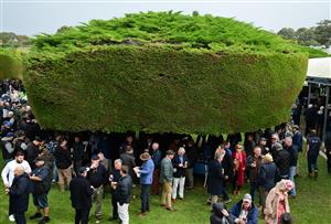 WARRNAMBOOL, AUSTRALIA - MAY 02: Racegoers shelter from the rain under the famous trees during Brierly Steeplechase day at Warrnambool Racing Club on May 02, 2023 in Warrnambool, Australia. (Photo by Vince Caligiuri/Getty Images)