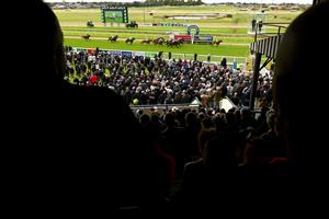 WARRNAMBOOL, AUSTRALIA - MAY 02: A general view of the Cally Hotel Maiden Plate during Brierly Steeplechase day at Warrnambool Racing Club on May 02, 2023 in Warrnambool, Australia. (Photo by Morgan Hancock/Getty Images)