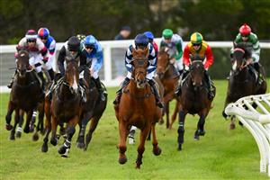 WARRNAMBOOL, AUSTRALIA - MAY 02: Impulsar ridden by Steven Pateman wins the Choices Flooring Warrnambool Maiden Hurdle during Brierly Steeplechase day at Warrnambool Racing Club on May 02, 2023 in Warrnambool, Australia. (Photo by Morgan Hancock/Getty Images)