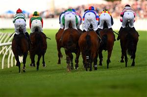 WARRNAMBOOL, AUSTRALIA - MAY 02: A general view of the rear of horses and jockeys as Impulsar ridden by Steven Pateman wins the Choices Flooring Warrnambool Maiden Hurdle during Brierly Steeplechase day at Warrnambool Racing Club on May 02, 2023 in Warrnambool, Australia. (Photo by Morgan Hancock/Getty Images)
