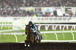 WARRNAMBOOL, AUSTRALIA - MAY 02: Lee Horner rides Flying Agent in the 3YB FM Scotty Stewart Brierly Steeplechase during Brierly Steeplechase day at Warrnambool Racing Club on May 02, 2023 in Warrnambool, Australia. (Photo by Morgan Hancock/Getty Images)