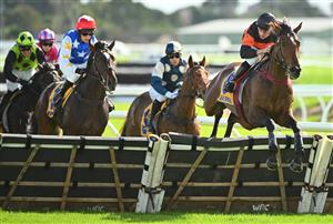 WARRNAMBOOL, AUSTRALIA - MAY 02: Campbell Rawiller riding Teofilo Star jumps hurdle during win in Race 2, the George Taylor Memorial Maiden Hurdle, during Brierly Steeplechase day at Warrnambool Racing Club on May 02, 2023 in Warrnambool, Australia. (Photo by Vince Caligiuri/Getty Images)