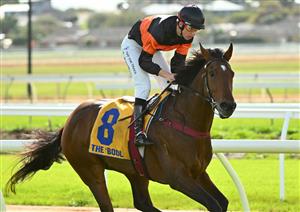 WARRNAMBOOL, AUSTRALIA - MAY 02: Campbell Rawiller riding Teofilo Star winning in Race 2, the George Taylor Memorial Maiden Hurdle, during Brierly Steeplechase day at Warrnambool Racing Club on May 02, 2023 in Warrnambool, Australia. (Photo by Vince Caligiuri/Getty Images)