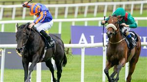 Guineas Betting - Irish favourites popular in Guineas markets