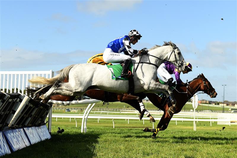 WARRNAMBOOL, AUSTRALIA - MAY 03: Saunter Boy ridden by Steven Pateman jumps over a hurdle as it wins the Sovereign Resort Galleywood Hurdle during Galleywood Hurdle day at Warrnambool Racing Club on May 03, 2023 in Warrnambool, Australia. (Photo by Morgan Hancock/Getty Images)
