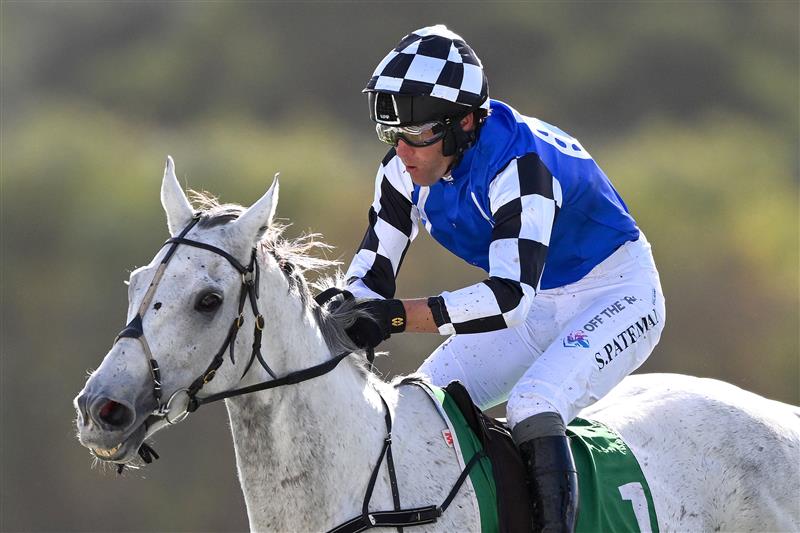 WARRNAMBOOL, AUSTRALIA - MAY 03: Saunter Boy ridden by Steven Pateman wins the Sovereign Resort Galleywood Hurdle during Galleywood Hurdle day at Warrnambool Racing Club on May 03, 2023 in Warrnambool, Australia. (Photo by Morgan Hancock/Getty Images)
