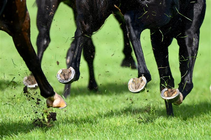 WARRNAMBOOL, AUSTRALIA - MAY 03: Mud and grass is flicked up as horses and jockeys compete for position in the Warrnambool Greyhound Cup tonight Maiden Plate during Galleywood Hurdle day at Warrnambool Racing Club on May 03, 2023 in Warrnambool, Australia. (Photo by Morgan Hancock/Getty Images)
