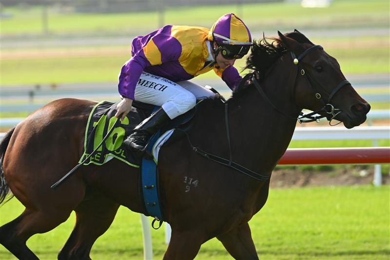 WARRNAMBOOL, AUSTRALIA - MAY 03: Linda Meech riding World Action winning Race 2, the Bottle-o Warrnambool Maiden Plate, during Galleywood Hurdle Day on May 03, 2023 in Warrnambool, Australia. (Photo by Vince Caligiuri/Getty Images)