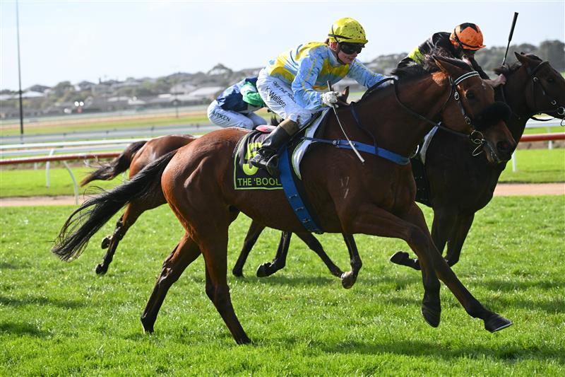 WARRNAMBOOL, AUSTRALIA - MAY 03: Kate Walters riding Delcoff winning Race 5, the Warrnambool Greyhound Cup Tonight Maiden, during Galleywood Hurdle Day on May 03, 2023 in Warrnambool, Australia. (Photo by Vince Caligiuri/Getty Images)