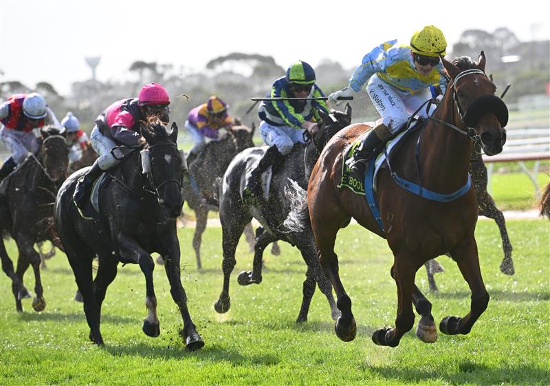 WARRNAMBOOL, AUSTRALIA - MAY 03: Kate Walters riding Delcoff winning Race 5, the Warrnambool Greyhound Cup Tonight Maiden, during Galleywood Hurdle Day on May 03, 2023 in Warrnambool, Australia. (Photo by Vince Caligiuri/Getty Images)