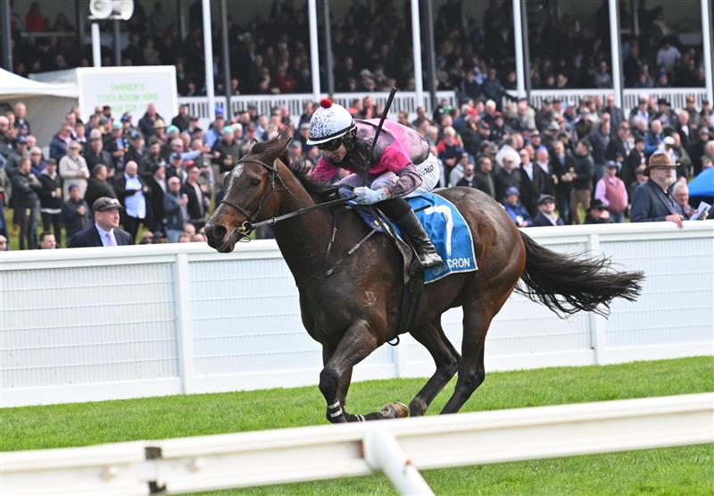 WARRNAMBOOL, AUSTRALIA - MAY 03: Will Gordon riding Tolemac winning Race 4, the Decron Dunroe Bm120 Steeplechase, during Galleywood Hurdle Day on May 03, 2023 in Warrnambool, Australia. (Photo by Vince Caligiuri/Getty Images)