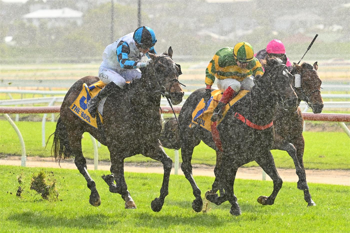 WARRNAMBOOL, AUSTRALIA - MAY 03: Ben Allen riding Scentify (L) winning Race 1, the Warrnambool City Volkswagen 2yo Open,  during Galleywood Hurdle Day on May 03, 2023 in Warrnambool, Australia. (Photo by Vince Caligiuri/Getty Images)