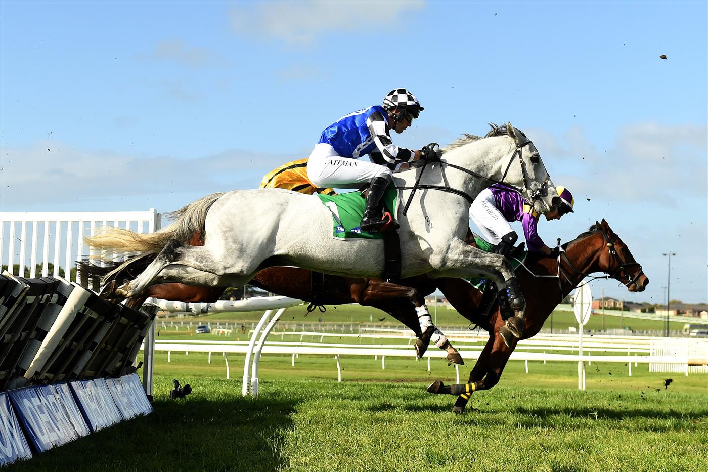 WARRNAMBOOL, AUSTRALIA - MAY 03: Saunter Boy ridden by Steven Pateman jumps over a hurdle as it wins the Sovereign Resort Galleywood Hurdle during Galleywood Hurdle day at Warrnambool Racing Club on May 03, 2023 in Warrnambool, Australia. (Photo by Morgan Hancock/Getty Images)