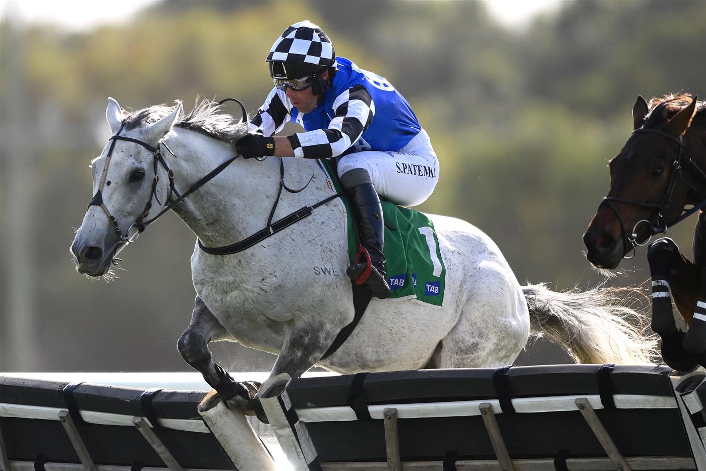 WARRNAMBOOL, AUSTRALIA - MAY 03: Saunter Boy ridden by Steven Pateman jumps over a hurdle as it wins the Sovereign Resort Galleywood Hurdle during Galleywood Hurdle day at Warrnambool Racing Club on May 03, 2023 in Warrnambool, Australia. (Photo by Morgan Hancock/Getty Images)