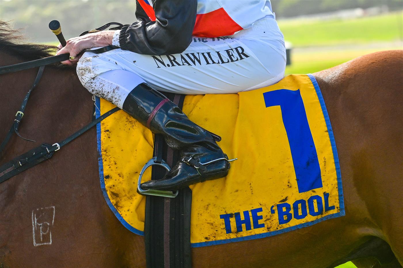 WARRNAMBOOL, AUSTRALIA - MAY 03: Nash Rawiller riding Debating after unplaced finish in Race 1, the Warrnambool City Volkswagen 2yo Open,  during Galleywood Hurdle Day on May 03, 2023 in Warrnambool, Australia. (Photo by Vince Caligiuri/Getty Images)