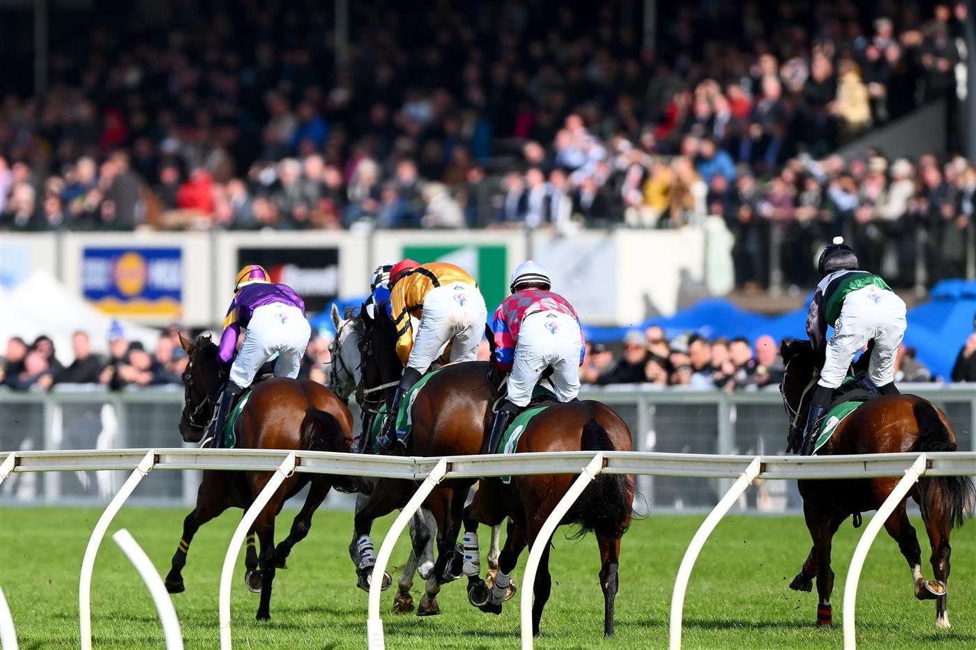 WARRNAMBOOL, AUSTRALIA - MAY 03: A general view horses and jockeys competing for position in the Sovereign Resort Galleywood Hurdle during Galleywood Hurdle day at Warrnambool Racing Club on May 03, 2023 in Warrnambool, Australia. (Photo by Morgan Hancock/Getty Images)