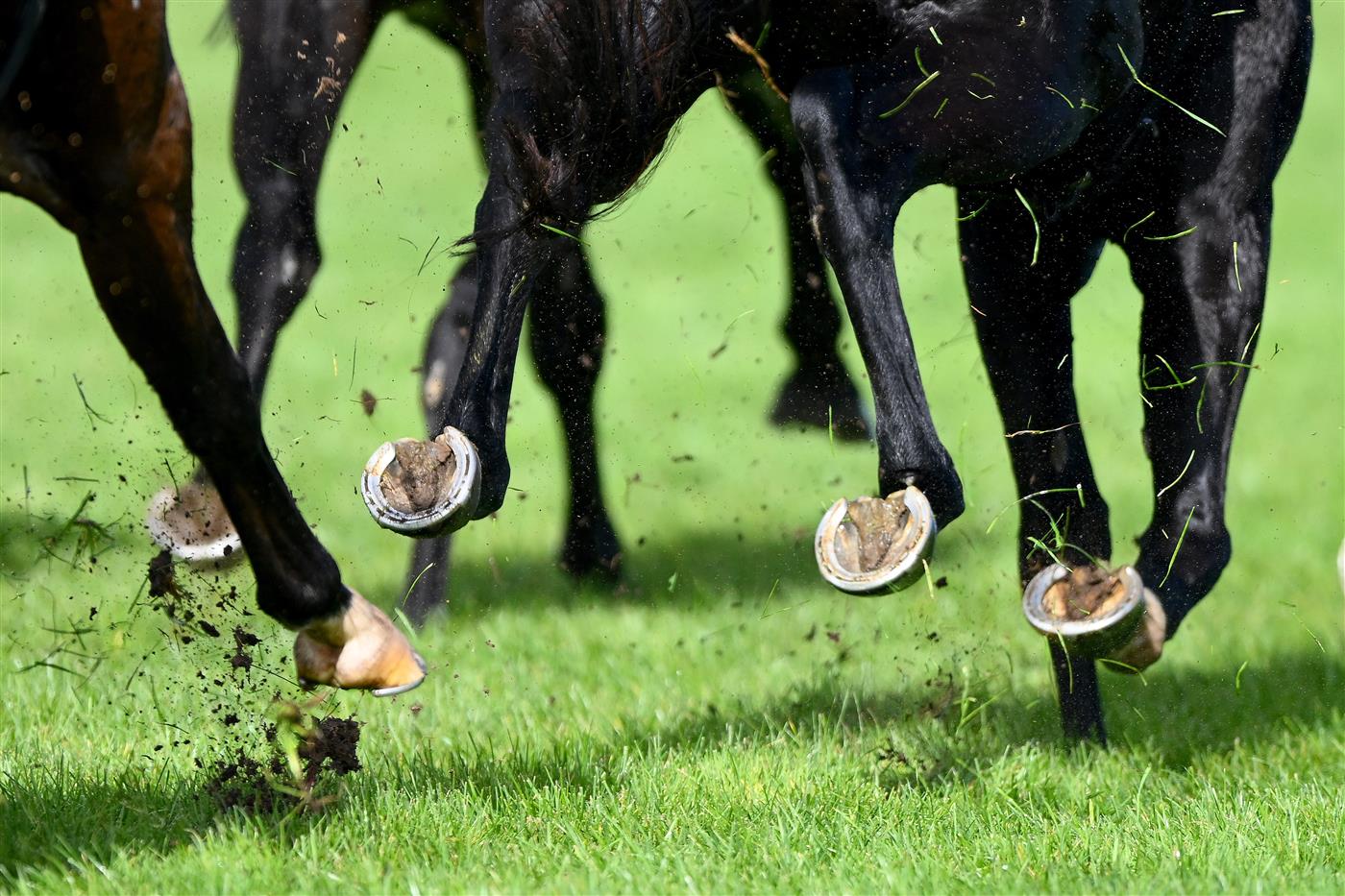 WARRNAMBOOL, AUSTRALIA - MAY 03: Mud and grass is flicked up as horses and jockeys compete for position in the Warrnambool Greyhound Cup tonight Maiden Plate during Galleywood Hurdle day at Warrnambool Racing Club on May 03, 2023 in Warrnambool, Australia. (Photo by Morgan Hancock/Getty Images)